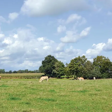 Σπίτι διακοπών Beautiful In With Wifi Montaudin